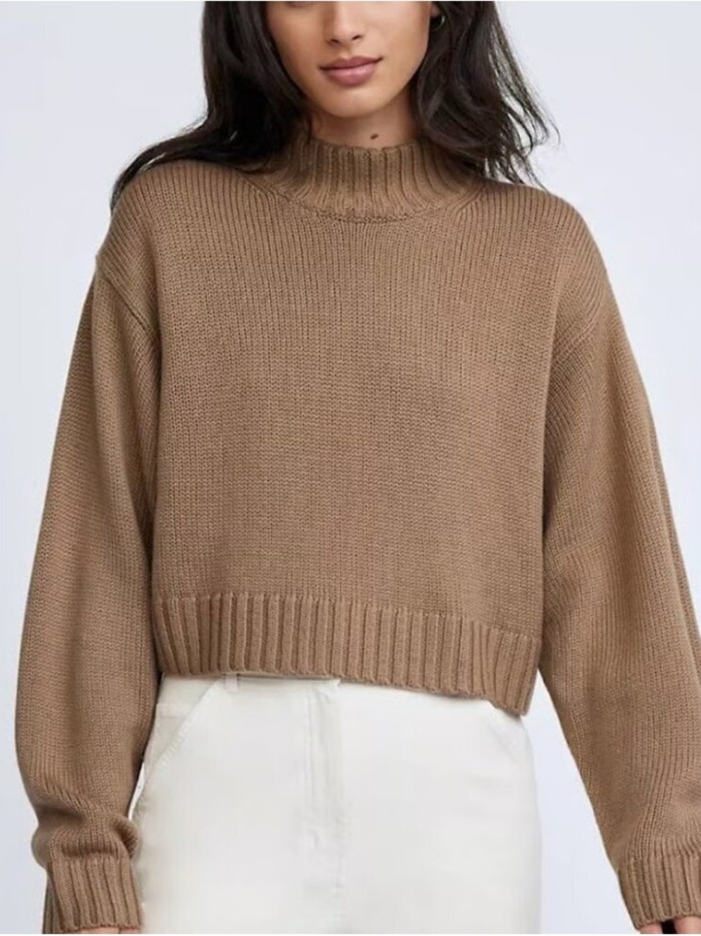 Aritzia Wilfred Free 100% Merino Wool Turtleneck Cropped Sweater Oversized Loose